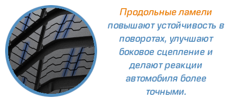 winter-icept-evo4-w340_1.jpg