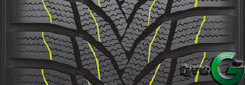 Nexen Winguard Sport 2
