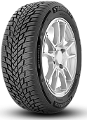 Starmaxx PolarMaxx 205/55R16 91H