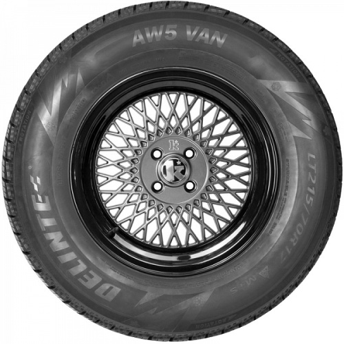 Delinte AW5 VAN 195/75R16C 107/105R