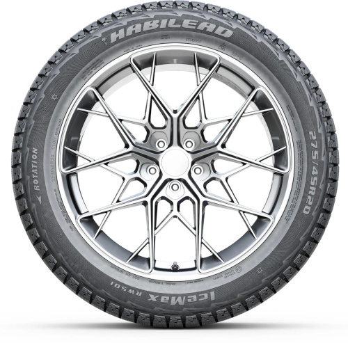 Habilead IceMax RW501 205/55R16 91H