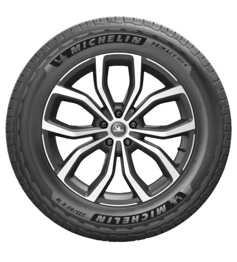 Primacy SUV+